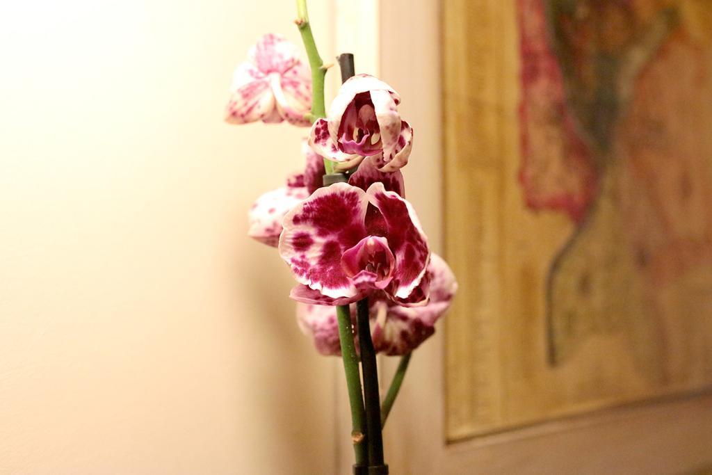 Trastevere Dream House Rome Room photo